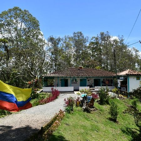 Bacoa Hostel Гуатапе Экстерьер фото